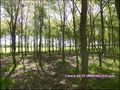 maison,propriete,dependance,hectare,propriete equestre,profession liberale,etang,boxes,prairie, chevaux,a vendre,vente,achat,agence immobiliere,french property for sale,house for sale, loire,ancenis,44,oudon,mesanger,couffe,ligne,mouzeil