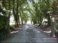 maison,propriete,hectare,caractere,dependance,equestre,reception,gite,terrain,zone,loisir,artisan,collectionneur,nantes,44,st herblain,sautron,orvault,potentiel,a vendre,vente,agence immobiliere,luxe,prestige,demeure,coueron,loire atlantique,french house