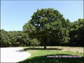 maison,propriete,hectare,caractere,dependance,equestre,reception,gite,terrain,zone,loisir,artisan,collectionneur,nantes,44,st herblain,sautron,orvault,potentiel,a vendre,vente,agence immobiliere,luxe,prestige,demeure,coueron,loire atlantique,french house