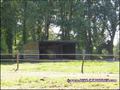 maison,propriete,hectare,caractere,dependance,equestre,reception,gite,terrain,zone,loisir,artisan,collectionneur,nantes,44,st herblain,sautron,orvault,potentiel,a vendre,vente,agence immobiliere,luxe,prestige,demeure,coueron,loire atlantique,french house