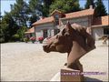 maison,propriete,hectare,caractere,dependance,equestre,reception,gite,terrain,zone,loisir,artisan,collectionneur,nantes,44,st herblain,sautron,orvault,potentiel,a vendre,vente,agence immobiliere,luxe,prestige,demeure,coueron,loire atlantique,french house