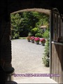 maison,propriete,hectare,caractere,dependance,equestre,reception,gite,terrain,zone,loisir,artisan,collectionneur,nantes,44,st herblain,sautron,orvault,potentiel,a vendre,vente,agence immobiliere,luxe,prestige,demeure,coueron,loire atlantique,french house