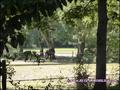 maison,propriete,hectare,caractere,dependance,equestre,reception,gite,terrain,zone,loisir,artisan,collectionneur,nantes,44,st herblain,sautron,orvault,potentiel,a vendre,vente,agence immobiliere,luxe,prestige,demeure,coueron,loire atlantique,french house