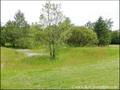 maison,hectare,propriete,dependance,potentiel,propriete equestre,propriete agricole,a vendre,vente,44,nantes,44240,lachapelle sur erdre,loire atlantique,artisan,artiste,atelier,potentiel,profession liberale,agence immobiliere,saint herblain,44800,sautron,