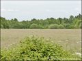 maison,hectare,propriete,dependance,potentiel,propriete equestre,propriete agricole,a vendre,vente,44,nantes,44240,lachapelle sur erdre,loire atlantique,artisan,artiste,atelier,potentiel,profession liberale,agence immobiliere,saint herblain,44800,sautron,