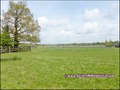 vente,achat,maison,longere,propriete,maison de charme,belle demeure,a vendre,piscine,propriete equestre,terrain agricole,hectare,44,loire atlantique,nantes,la baule,pornic,pontchateau,savenay,bretagne,morbihan,56,vannes,rennes,agence immobiliere,for sale