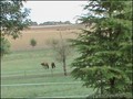 maison,propriete,a vendre,belle demeure,maison de charme,french property,for sale,gers,32,sud ouest,france,languedoc roussillon,midi pyrennees,hectare,propriete equestre,vente,achat,condom,32100,auch,vic fezensac,valence sur baise,lectoure,agen,real estat