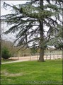 maison,propriete,a vendre,belle demeure,maison de charme,french property,for sale,gers,32,sud ouest,france,languedoc roussillon,midi pyrennees,hectare,propriete equestre,vente,achat,condom,32100,auch,vic fezensac,valence sur baise,lectoure,agen,real estat