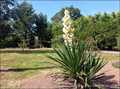 Modern house, Atypical residence, house for sale, Noirmoutier, Passage du Gois, deumeure, house for sale vendee, swimming pool, french property for sale, vendee, ocean, atlantic coast, real estate agency, france, loire, beautiful house, pool, properties