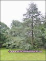 a vendre,propriete,luxe,bretagne,morbihan,56,ploermel,josselin,pontivy,malestroit,questembert,rochefort terre,vannes,56000,56100,56300,56800,56230,56120,56140,56200,french,real estate,agency,french,property,house,for sale,b and b,agence immobiliere,france