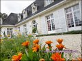 vente,maison,hote,belle,demeure,charme,grande maison,villa,maison bourgeoise,chambre   d'hote,propriete,luxe,bretagne,morbihan,56,ploermel,josselin,pontivy,malestroit,queste  mbert,rochefort en terre,vannes,56000,56100,56300,56800,56230,56120,56140,56200