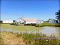 maison,propriete,dependance,bourrine,longere,grange,a renover,plain-pied,isole,a vendre,marais,breton,vendeen,potentiel,gite,calme,hectare,etang,prairie,french,property,for sale,85,vendee,la barre de monts,bouin,machecoul,noirmoutier,