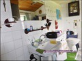 maison,propriete,dependance,bourrine,longere,grange,a renover,plain-pied,isole,a vendre,marais,breton,vendeen,potentiel,gite,calme,hectare,etang,prairie,french,property,for sale,85,vendee,la barre de monts,bouin,machecoul,noirmoutier,