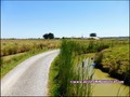 maison,propriete,dependance,bourrine,longere,grange,a renover,plain-pied,isole,a vendre,marais,breton,vendeen,potentiel,gite,calme,hectare,etang,prairie,french,property,for sale,85,vendee,la barre de monts,bouin,machecoul,noirmoutier,