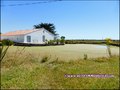 maison,propriete,dependance,bourrine,longere,grange,a renover,plain-pied,isole,a vendre,marais,breton,vendeen,potentiel,gite,calme,hectare,etang,prairie,french,property,for sale,85,vendee,la barre de monts,bouin,machecoul,noirmoutier,