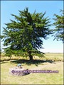 maison,propriete,dependance,bourrine,longere,grange,a renover,plain-pied,isole,a vendre,marais,breton,vendeen,potentiel,gite,calme,hectare,etang,prairie,french,property,for sale,85,vendee,la barre de monts,bouin,machecoul,noirmoutier,