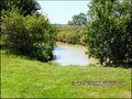 maison,propriete,dependance,bourrine,longere,grange,a renover,plain-pied,isole,a vendre,marais,breton,vendeen,potentiel,gite,calme,hectare,etang,prairie,french,property,for sale,85,vendee,la barre de monts,bouin,machecoul,noirmoutier,