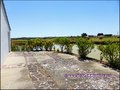 maison,propriete,dependance,bourrine,longere,grange,a renover,plain-pied,isole,a vendre,marais,breton,vendeen,potentiel,gite,calme,hectare,etang,prairie,french,property,for sale,85,vendee,la barre de monts,bouin,machecoul,noirmoutier,