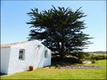 maison,propriete,dependance,bourrine,longere,grange,a renover,plain-pied,isole,a vendre,marais,breton,vendeen,potentiel,gite,calme,hectare,etang,prairie,french,property,for sale,85,vendee,la barre de monts,bouin,machecoul,noirmoutier,