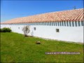 maison,propriete,dependance,bourrine,longere,grange,a renover,plain-pied,isole,a vendre,marais,breton,vendeen,potentiel,gite,calme,hectare,etang,prairie,french,property,for sale,85,vendee,la barre de monts,bouin,machecoul,noirmoutier,