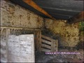 maison,propriete,ferme,logis,manoir,a vendre,vente,dependance,chateau,hectare,bois,foret,isole,calme,nantes,le cellier,oudon,ancenis,44150,couffe,saint herblon,mesanger,44,angers,49,loire atlantique,french,property,for sale,44,loire,france,real estate,age