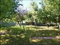 maison,propriete,ferme,logis,manoir,a vendre,vente,dependance,chateau,hectare,bois,foret,isole,calme,nantes,le cellier,oudon,ancenis,44150,couffe,saint herblon,mesanger,44,angers,49,loire atlantique,french,property,for sale,44,loire,france,real estate,age
