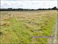 maison,propriete,ferme,logis,manoir,a vendre,vente,dependance,chateau,hectare,bois,foret,isole,calme,nantes,le cellier,oudon,ancenis,44150,couffe,saint herblon,mesanger,44,angers,49,loire atlantique,french,property,for sale,44,loire,france,real estate,age
