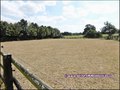 propriete,equestre,a vendre,vente,achat,maison,hectare,boxe,ecurie,carriere,agence immobiliere,nantes,loire atlantique,44,savenay,44260,prinquiau,chapelle launay,campbon,44750,la baule,pornic,44210,pays de retz,st brevin,44250,st pere en retz,44320,equest