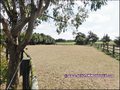 propriete,equestre,a vendre,vente,achat,maison,hectare,boxe,ecurie,carriere,agence immobiliere,nantes,loire atlantique,44,savenay,44260,prinquiau,chapelle launay,campbon,44750,la baule,pornic,44210,pays de retz,st brevin,44250,st pere en retz,44320,equest