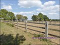 propriete,equestre,a vendre,vente,achat,maison,hectare,boxe,ecurie,carriere,agence immobiliere,nantes,loire atlantique,44,savenay,44260,prinquiau,chapelle launay,campbon,44750,la baule,pornic,44210,pays de retz,st brevin,44250,st pere en retz,44320,equest