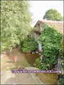 belle demeure,maison de charme,residence secondaire,a vendre,propriete,caractere,dependance,parc,hectare,loire atlantique,44,vendee,85,calme,nantes,challans,roche sur yon,lege,rocherserviere,montaigu,maison,logis,longere,manoir,agence immobiliere,french,p