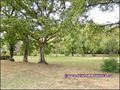 belle demeure,maison de charme,residence secondaire,a vendre,propriete,caractere,dependance,parc,hectare,loire atlantique,44,vendee,85,calme,nantes,challans,roche sur yon,lege,rocherserviere,montaigu,maison,logis,longere,manoir,agence immobiliere,french,p