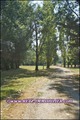 maison,propriete,a vendre,hectare,moulin,riviere,belle demeure,maison charme,agence immobiliere,chateau,manoir,french property,for sale,vendee,85,pays loire atlantique,44,bretagne,morbihan,56,chateau a vendre,vente chateau,vente propriete,real estate,mara
