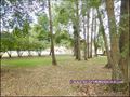 maison,propriete,a vendre,hectare,moulin,riviere,belle demeure,maison charme,agence immobiliere,chateau,manoir,french property,for sale,vendee,85,pays loire atlantique,44,bretagne,morbihan,56,chateau a vendre,vente chateau,vente propriete,real estate,mara