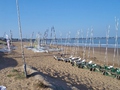 ferme,maison,propriete,a renover,a vendre,vente,achat,longere,st michel,saint michel chef,44730,tharon plage,mer,littoral,agence immobiliere,pornic,st brevin,zone ub,terrain constructible,a lotir,44210,44250,44320,st pere retz,frossay,st viaud,le clion,44