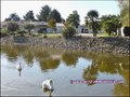 maison,plain-pied,contemporaine,propriete,a vendre,vente,achat,garage,dependance,amenageable,potentiel,gite,calme,hectare,etang,agence immobiliere,saint gervais,85230,beauvoir sur mer,challans,la barre de monts,st jean de monts,noirmoutier,vendee,85,frenc