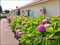 vente,achat,a vendre,maison,piscine,gite,chambre hote,dependance,garage,ville,44270,machecoul,85300,challans,44580,Moutiers en Retz,plage,44,loire atlantique,85,vendee,pays retz,agence immobiliere,pornic,44210,maison gite a vendre,chambre hote a vendre,44