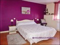 vente,achat,a vendre,maison,piscine,gite,chambre hote,dependance,garage,ville,44270,machecoul,85300,challans,44580,Moutiers en Retz,plage,44,loire atlantique,85,vendee,pays retz,agence immobiliere,pornic,44210,maison gite a vendre,chambre hote a vendre,44