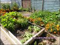 vente,achat,a vendre,maison,piscine,gite,chambre hote,dependance,garage,ville,44270,machecoul,85300,challans,44580,Moutiers en Retz,plage,44,loire atlantique,85,vendee,pays retz,agence immobiliere,pornic,44210,maison gite a vendre,chambre hote a vendre,44