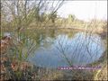 vente,achat,a vendre,maison,hectare,dependance,propriete,equestre,grange,gite,locatif,etang,prairie,propriete rurale,ferme,corps de ferme,loire atlantique,44,nantes,vendée,85,la Roche sur yon,montaigu,85600,les herbiers,85500,saint georges de montaigu,851
