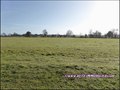 vente,achat,a vendre,maison,hectare,dependance,propriete,equestre,grange,gite,locatif,etang,prairie,propriete rurale,ferme,corps de ferme,loire atlantique,44,montaigu,vendée,85,85600,les herbiers,85500,saint georges de montaigu,les landes genusson,85130,b