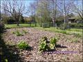 vente,achat,a vendre,maison,contemporaine,ossature bois,geothermie,suite parentale,garage,cave,etang,jardin,la chapelle heulin,44330,la haie fouassiere,44690,le pallet,44330,nantes sud,44690,sud loire,44,loire atlantique,agence immobiliere,propriete,vente