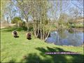 vente,achat,a vendre,maison,contemporaine,ossature bois,geothermie,suite parentale,garage,cave,etang,jardin,la chapelle heulin,44330,la haie fouassiere,44690,le pallet,44330,nantes sud,44690,sud loire,44,loire atlantique,agence immobiliere,propriete,vente