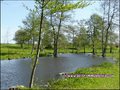 vente,achat,a vendre,maison,propriete,propriete equestre,propriete agricole,ferme,maison hectare,etang,piscine couverte,piscine chauffée,piscine intérieure,clisson,gorges,44190,maisdon,44690,remouillé,aigrefeuille,44140,montbert,agence immobiliere,proprie