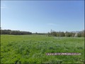 vente,achat,a vendre,maison,propriete,propriete equestre,propriete agricole,ferme,maison hectare,etang,piscine couverte,piscine chauffée,piscine intérieure,clisson,gorges,44190,maisdon,44690,remouillé,aigrefeuille,44140,montbert,agence immobiliere,proprie