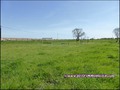 vente,achat,a vendre,maison,propriete,propriete equestre,propriete agricole,ferme,maison hectare,etang,piscine couverte,piscine chauffée,piscine intérieure,clisson,gorges,44190,maisdon,44690,remouillé,aigrefeuille,44140,montbert,agence immobiliere,proprie
