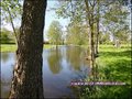 vente,achat,a vendre,maison,propriete,propriete equestre,propriete agricole,ferme,maison hectare,etang,piscine couverte,piscine chauffée,piscine intérieure,clisson,gorges,44190,maisdon,44690,remouillé,aigrefeuille,44140,montbert,agence immobiliere,proprie