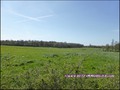 vente,achat,a vendre,maison,propriete,propriete equestre,propriete agricole,ferme,maison hectare,etang,piscine couverte,piscine chauffée,piscine intérieure,clisson,gorges,44190,maisdon,44690,remouillé,aigrefeuille,44140,montbert,agence immobiliere,proprie