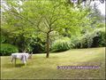 vente,achat,a vendre,maison,pavillon,centre-ville,rocheserviere,85620,lege,44650,vieillevigne,44116,maison a vendre,agence immobiliere,propriete,vente chateau,belle demeure,chateau a vendre,maison de charme,house for sale,sale,purchase,pays de loire,britt