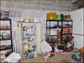 vente,achat,a vendre,maison,hectare,propriete,elevage,equestre,ferme,a vendre,44,loire atlantique,ile et vilaine,35,35600,redon,guemene,44290,35470,bain bretagne,56200,La Gacilly,56,morbihan,85,vendee,bretagne,pays loire,agence immobiliere,propriete,vente